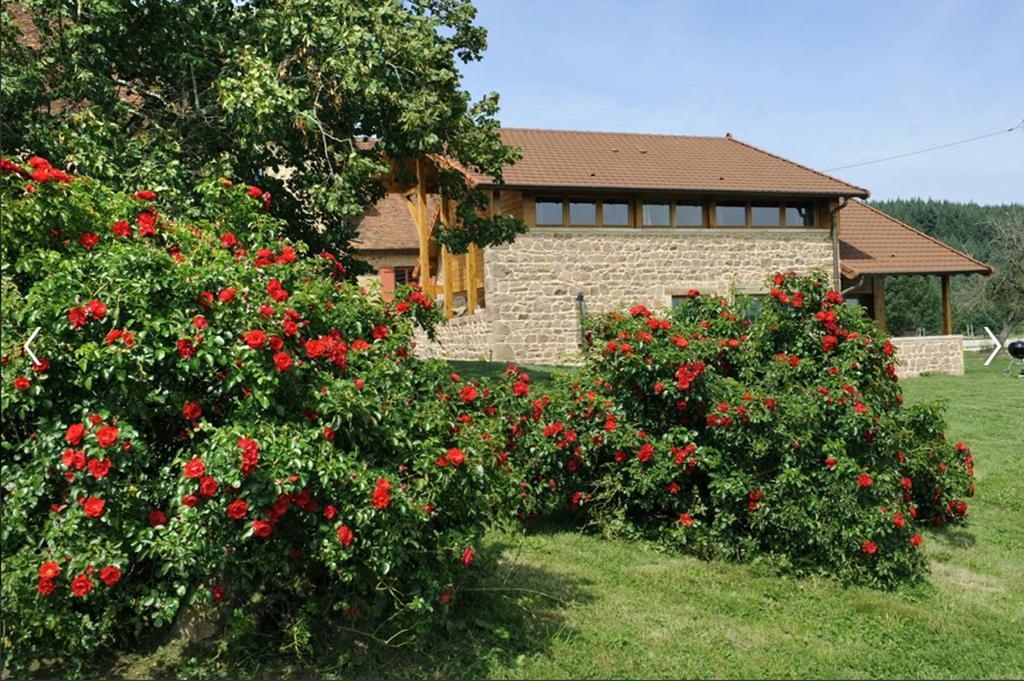 Willa Les Perruchons Ancienne Grange Renovee Avec Soin Ozolles Pokój zdjęcie
