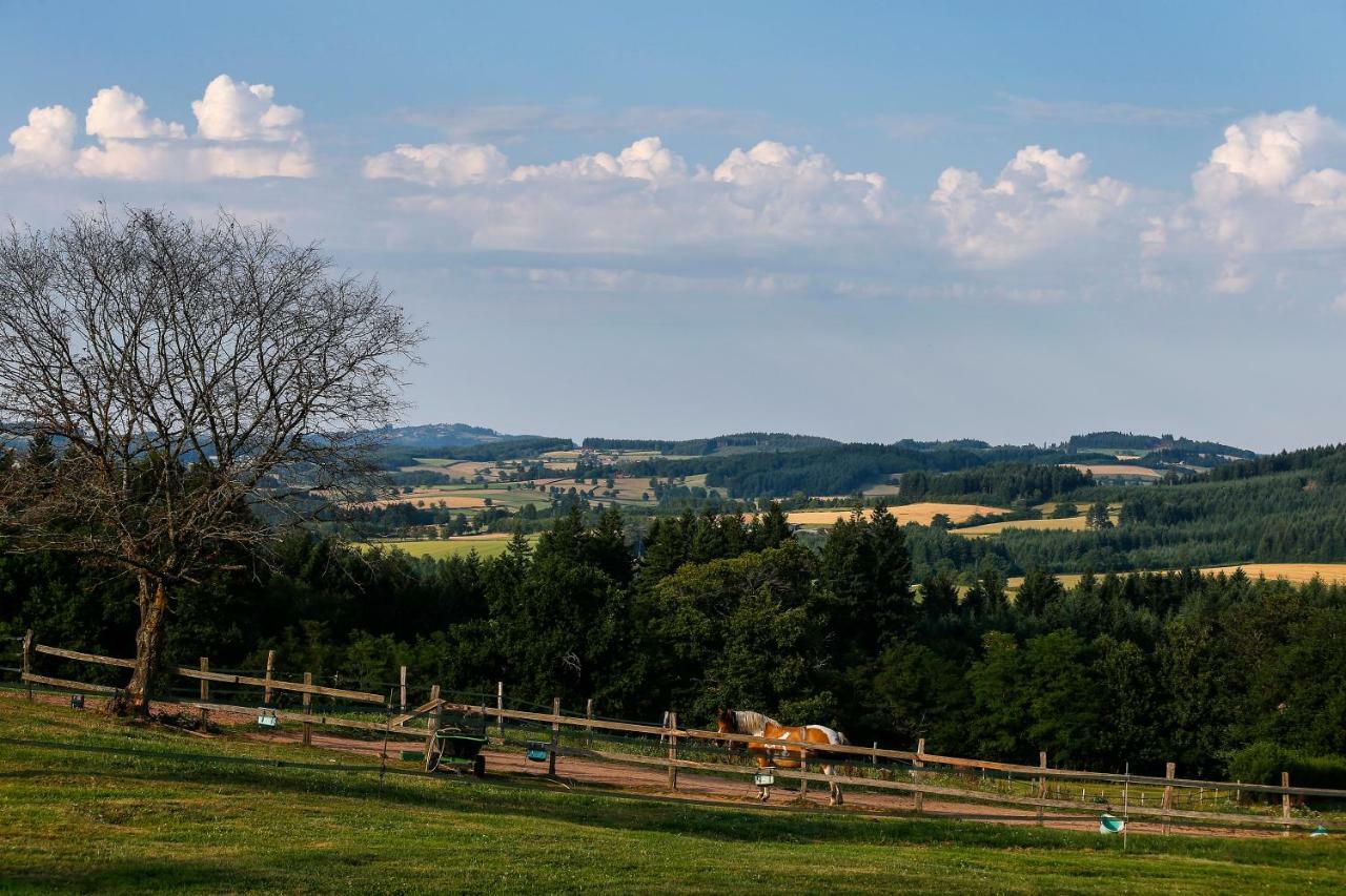 Willa Les Perruchons Ancienne Grange Renovee Avec Soin Ozolles Zewnętrze zdjęcie