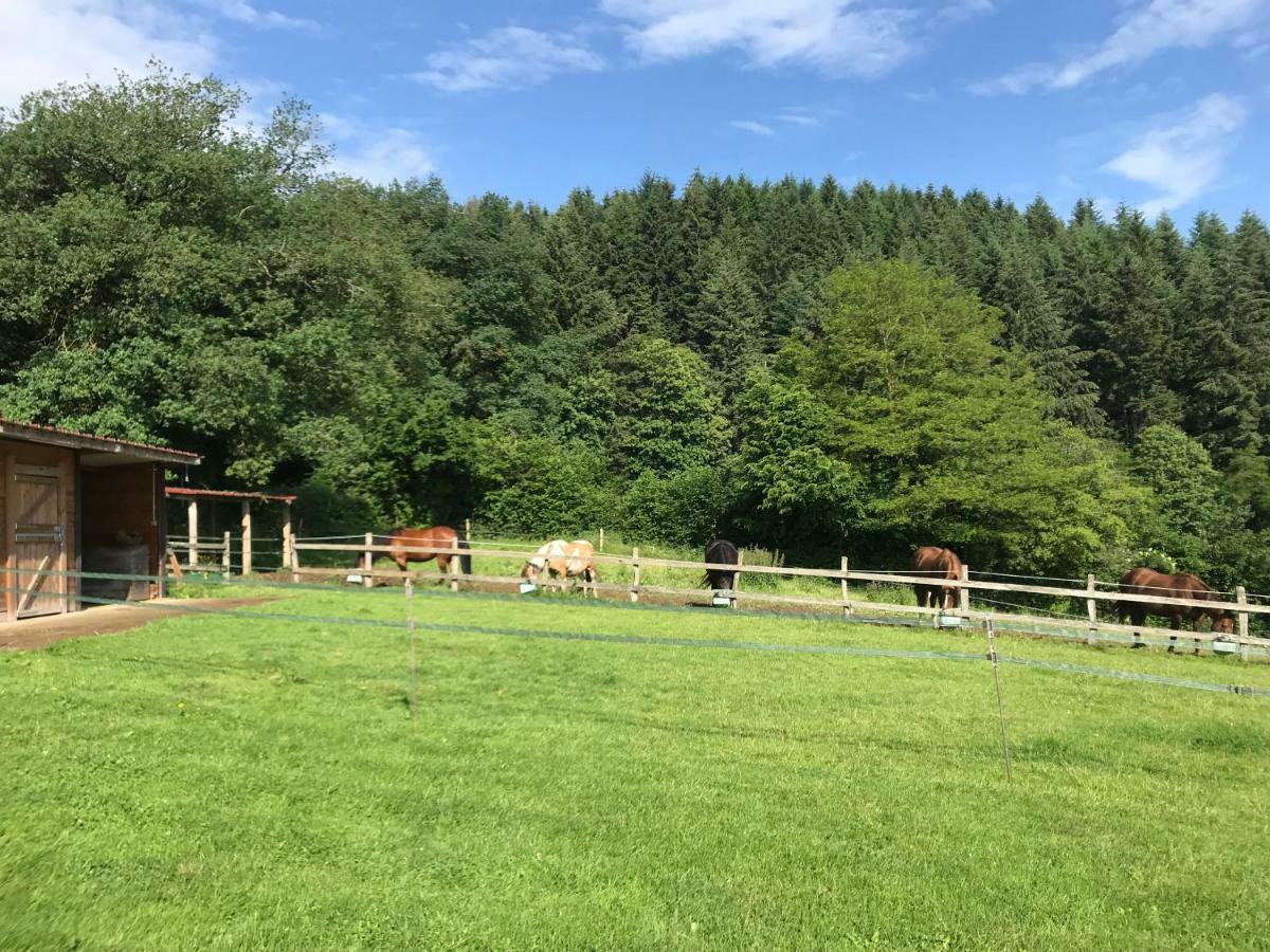 Willa Les Perruchons Ancienne Grange Renovee Avec Soin Ozolles Zewnętrze zdjęcie